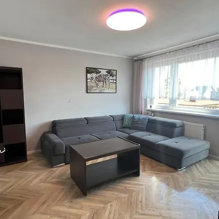 Goscinne Salomea Карвиа
