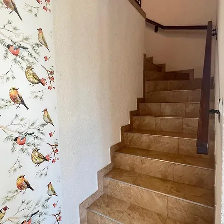 Goscinne Salomea カルビア