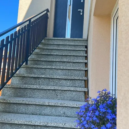 Goscinne Salomea * カルビア