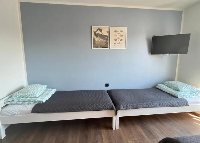 Проживание в семье Goscinne Salomea *