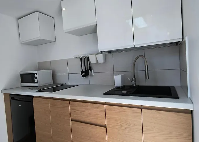 Проживание в семье Goscinne Salomea *