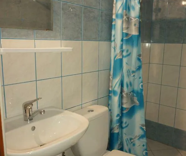 Goscinne Salomea Проживание в семье *